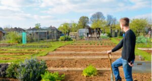 Cum poți obține un loc de grădină (allotment) în Birmingham
