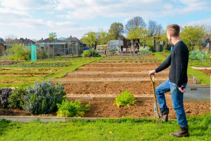 Cum poți obține un loc de grădină (allotment) în Birmingham